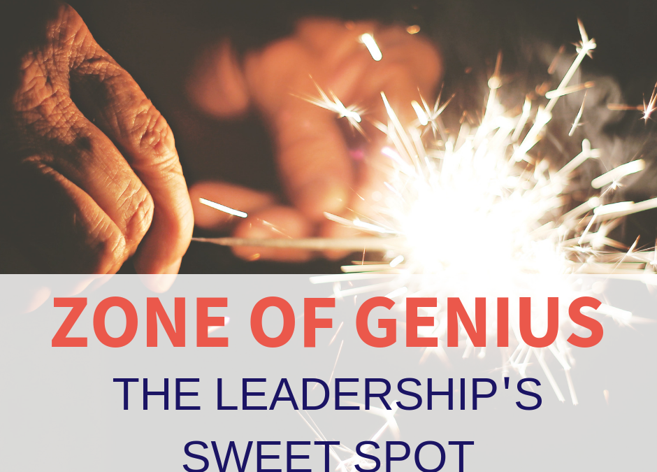 The Zone of Genius – the leadership’s sweet spot