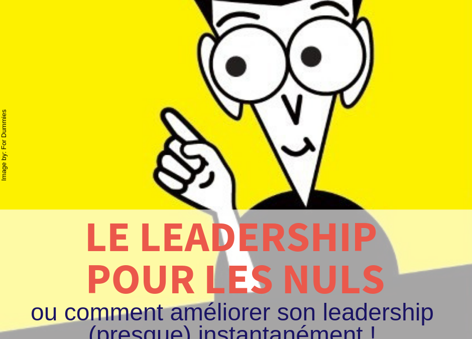Le Leadership pour les nuls