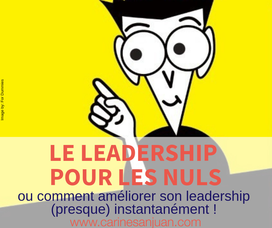 Le Leadership pour les nuls CSJ Consulting